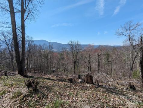 001 Shoal Pond Cove Burnsville NC 28714