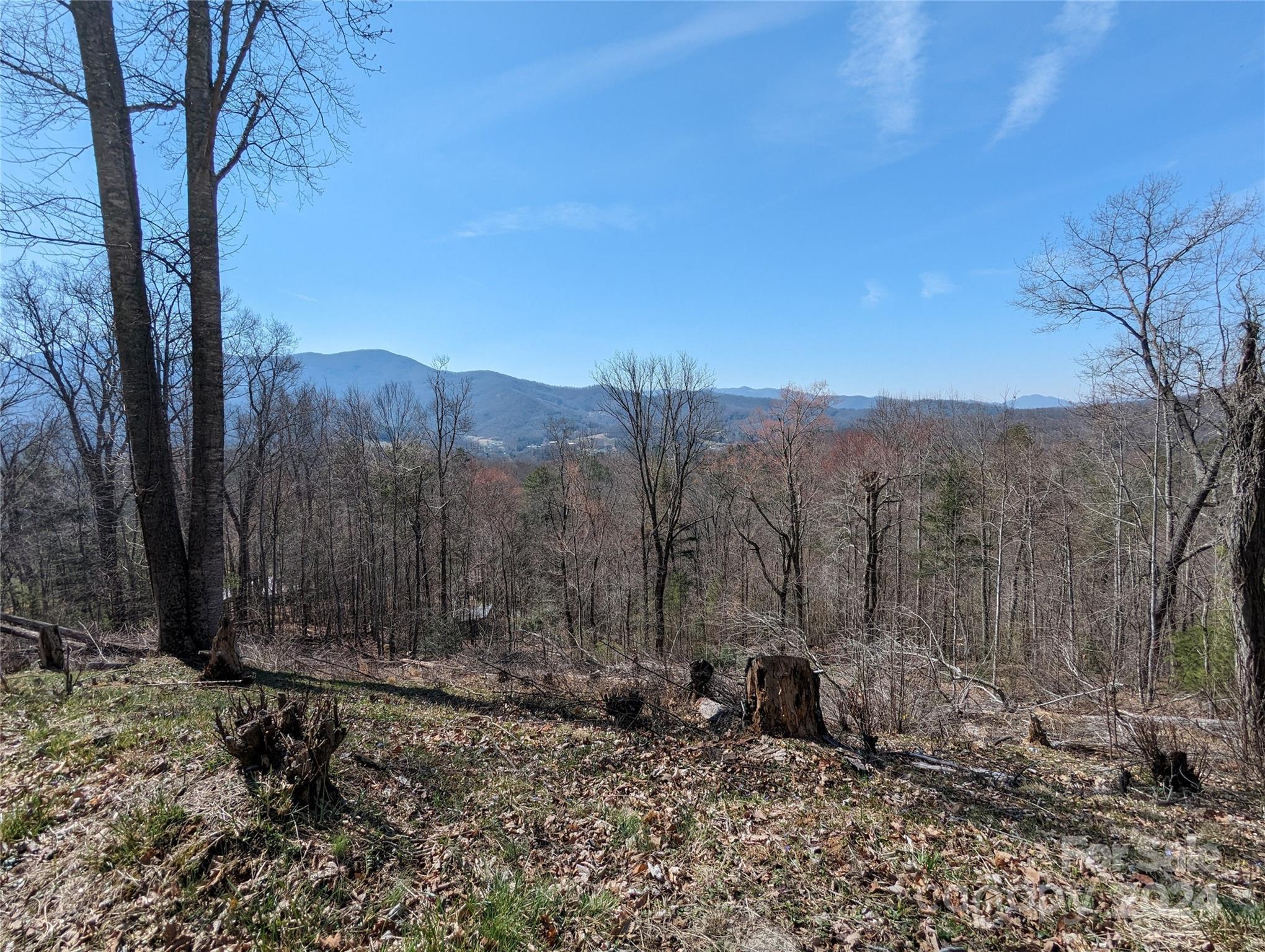 001 Shoal Pond Cove Burnsville NC 28714