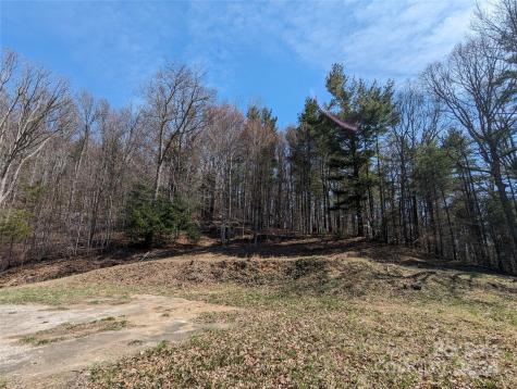 001 Shoal Pond Cove Burnsville NC 28714