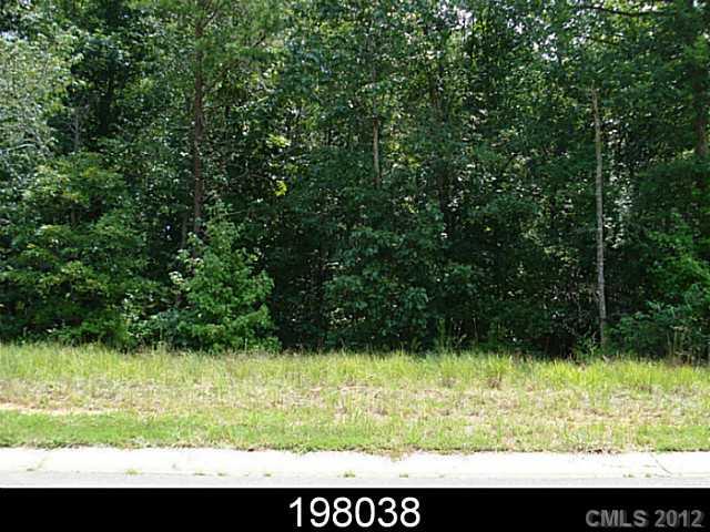 1319 Laurel Woods Drive Gastonia NC 28052