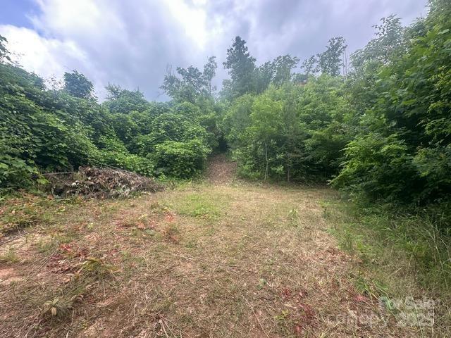 0 Cope Creek Road Sylva NC 28779