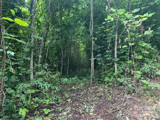 0 Cope Creek Road Sylva NC 28779