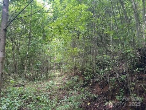 0 Cope Creek Road Sylva NC 28779