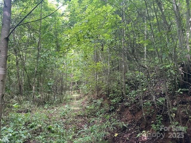 0 Cope Creek Road Sylva NC 28779