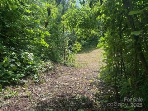0 Cope Creek Road Sylva NC 28779