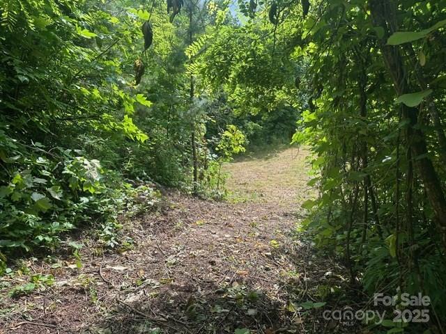 0 Cope Creek Road Sylva NC 28779