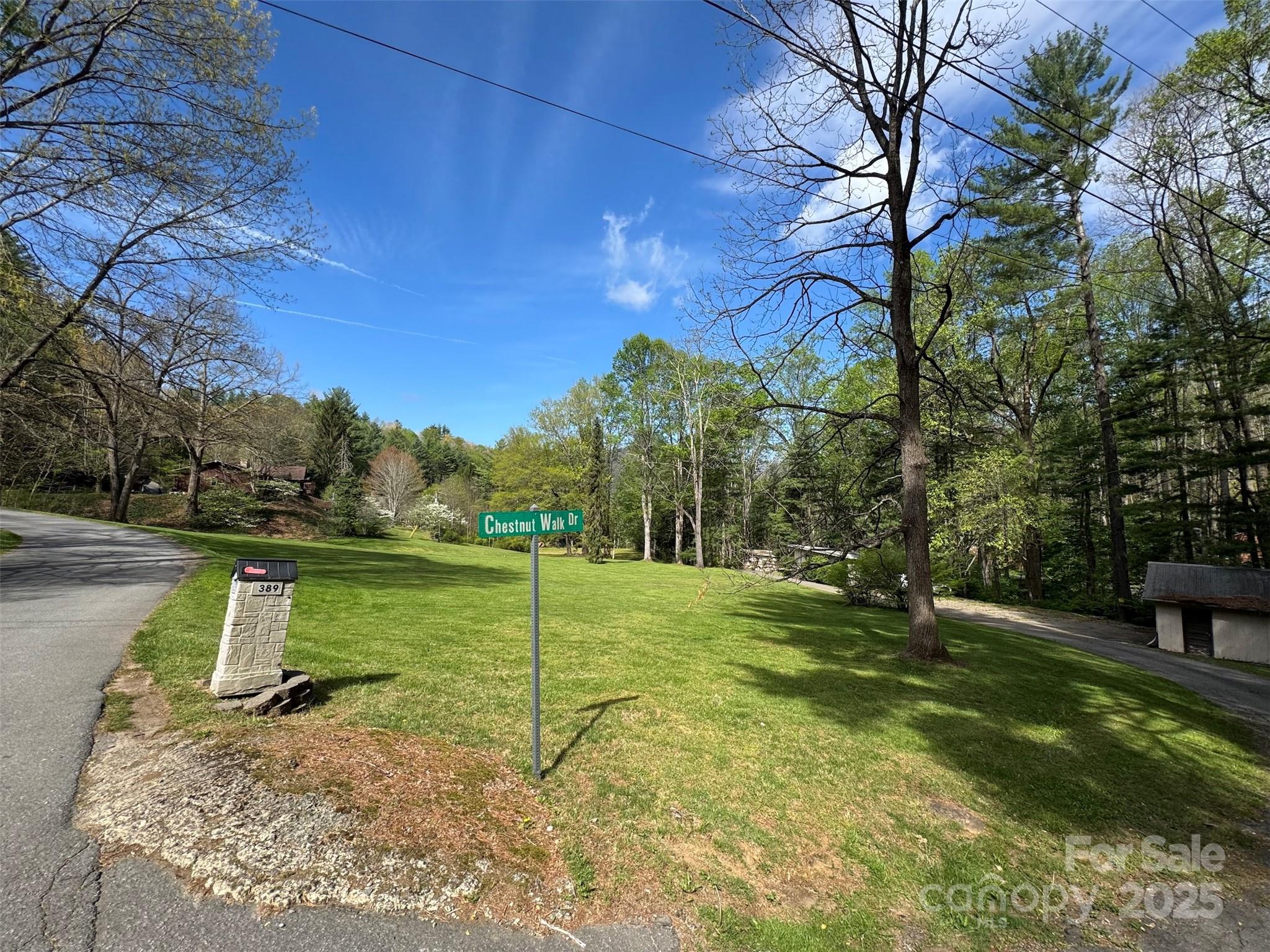 Tbd (A) Chestnut Walk Drive Waynesville NC 28786