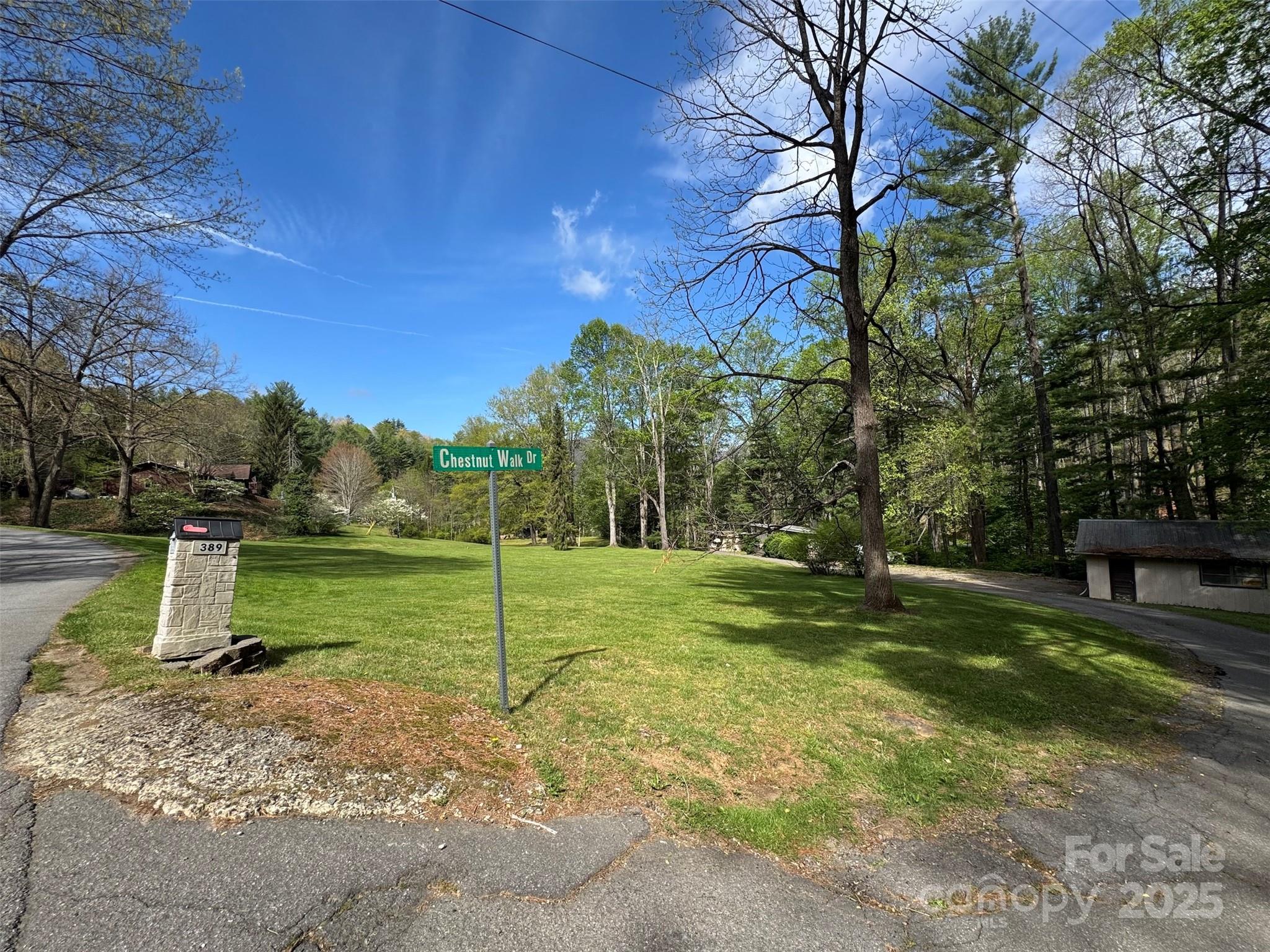 Tbd (A) Chestnut Walk Drive Waynesville NC 28786