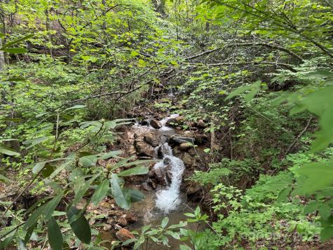 Tbd (A) Chestnut Walk Drive Waynesville NC 28786