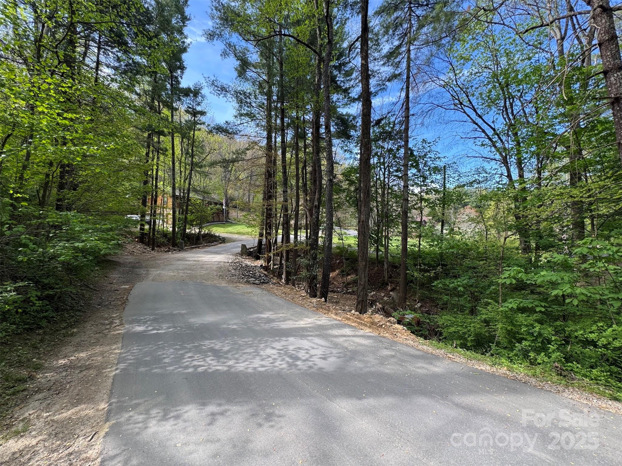 Tbd (A) Chestnut Walk Drive Waynesville NC 28786
