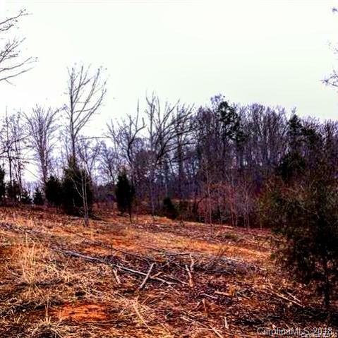 135 Cottage Court Mooresville NC 28115