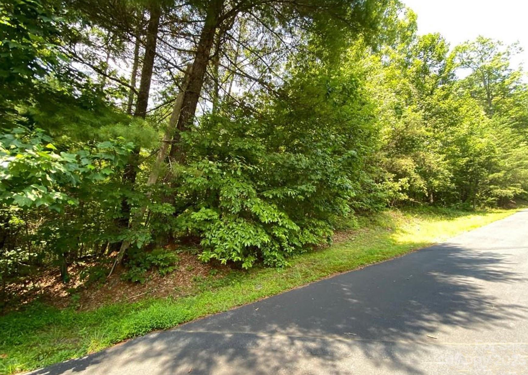 68 Stepp Ridge Court Hendersonville NC 28792