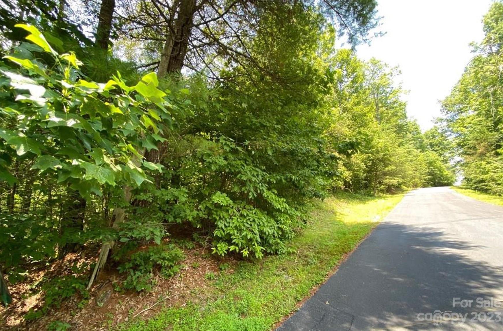 68 Stepp Ridge Court Hendersonville NC 28792