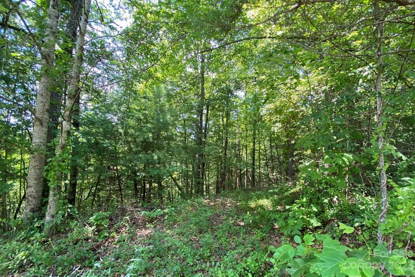 68 Stepp Ridge Court Hendersonville NC 28792