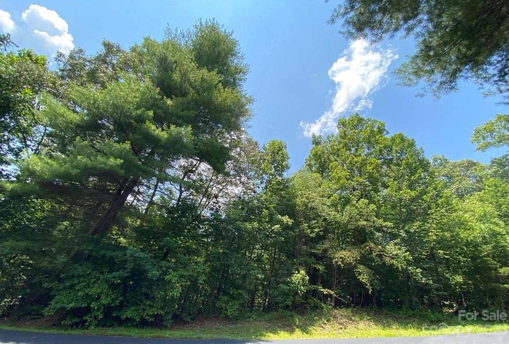 68 Stepp Ridge Court Hendersonville NC 28792