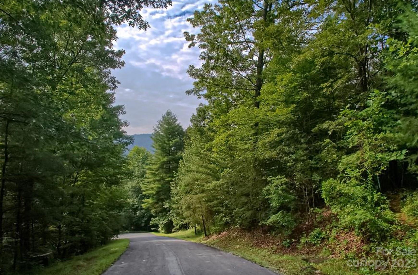 68 Stepp Ridge Court Hendersonville NC 28792