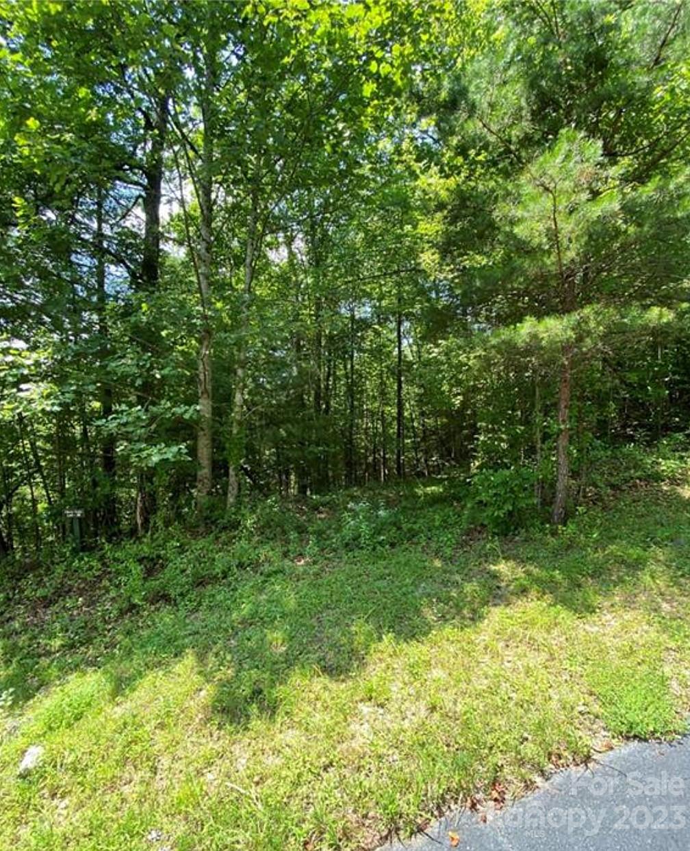 68 Stepp Ridge Court Hendersonville NC 28792