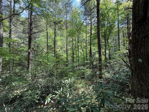 000 Kings Glen Road Old Fort NC 28762