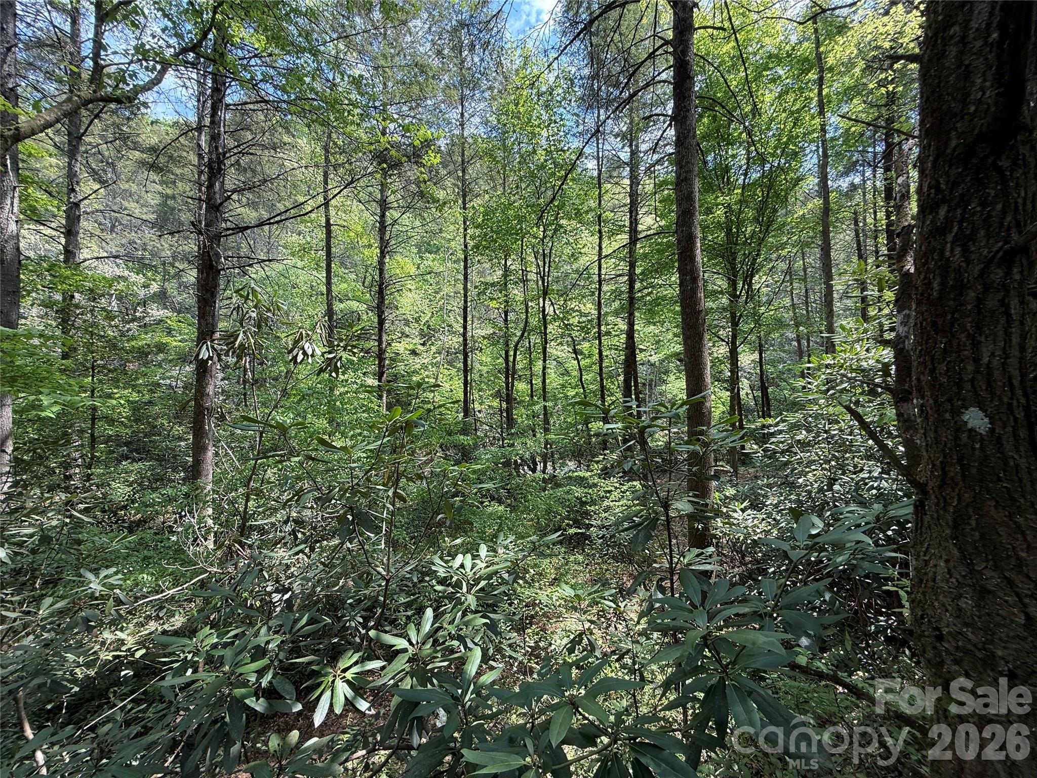 000 Kings Glen Road Old Fort NC 28762