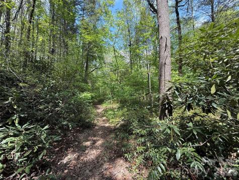 000 Kings Glen Road Old Fort NC 28762