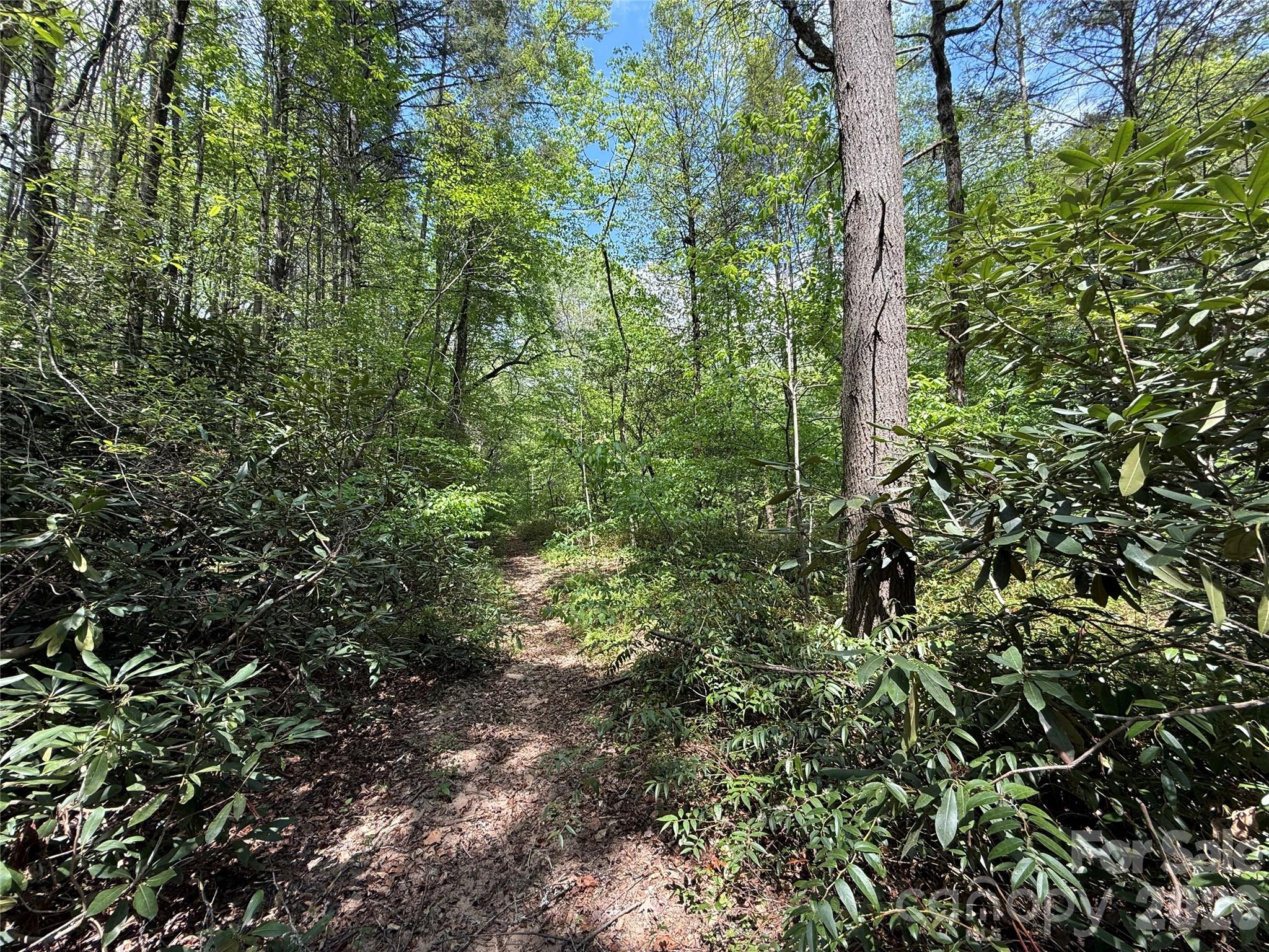 000 Kings Glen Road Old Fort NC 28762