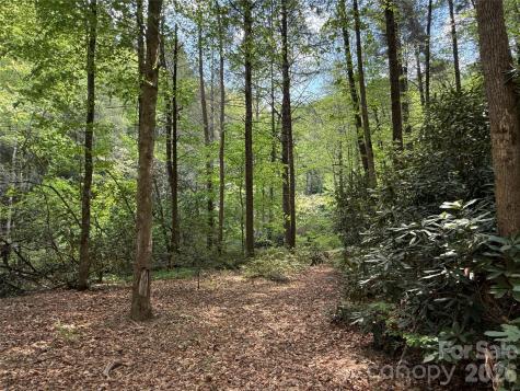 000 Kings Glen Road Old Fort NC 28762