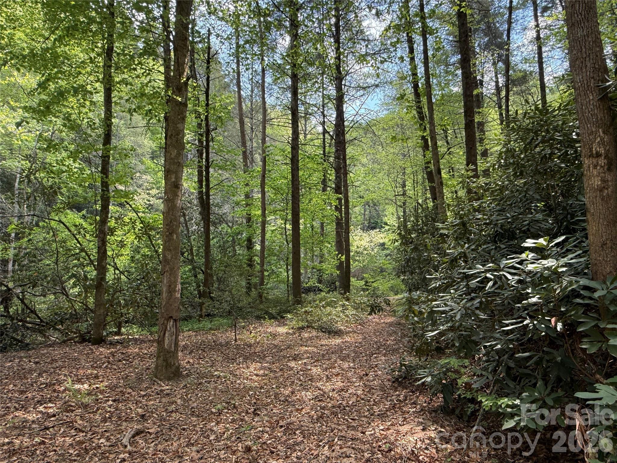 000 Kings Glen Road Old Fort NC 28762