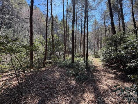 000 Kings Glen Road Old Fort NC 28762