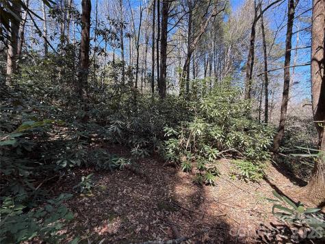 000 Kings Glen Road Old Fort NC 28762