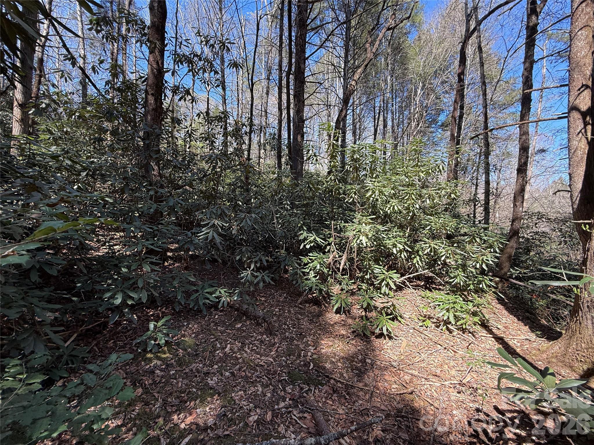 000 Kings Glen Road Old Fort NC 28762