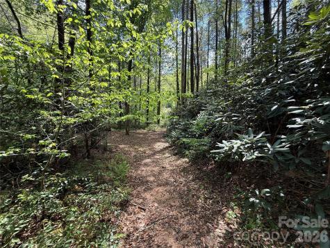 000 Kings Glen Road Old Fort NC 28762