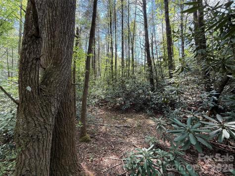 000 Kings Glen Road Old Fort NC 28762
