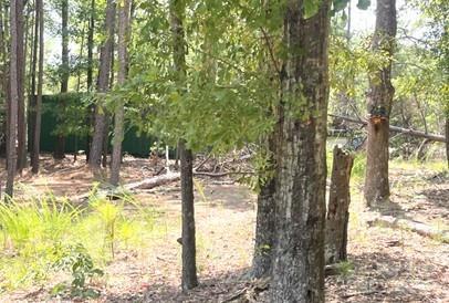 2127 Oldfield Road Rock Hill SC 29730