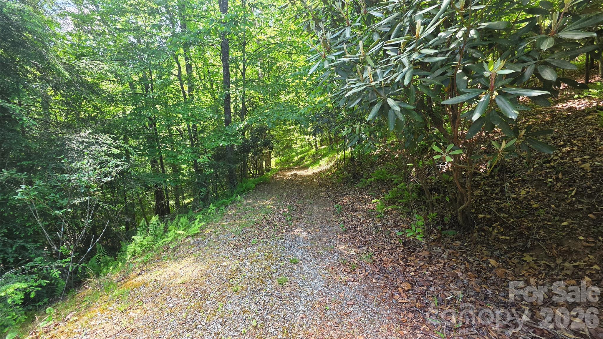 88 Wingfield Way Brevard NC 28712