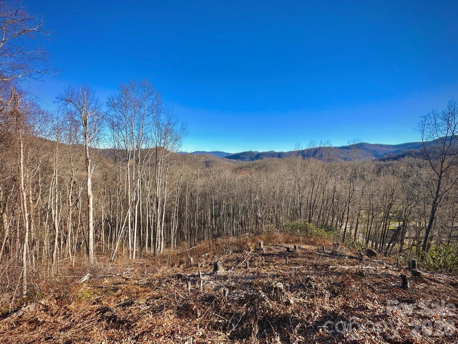 3 Mountain Watch Drive Waynesville NC 28785