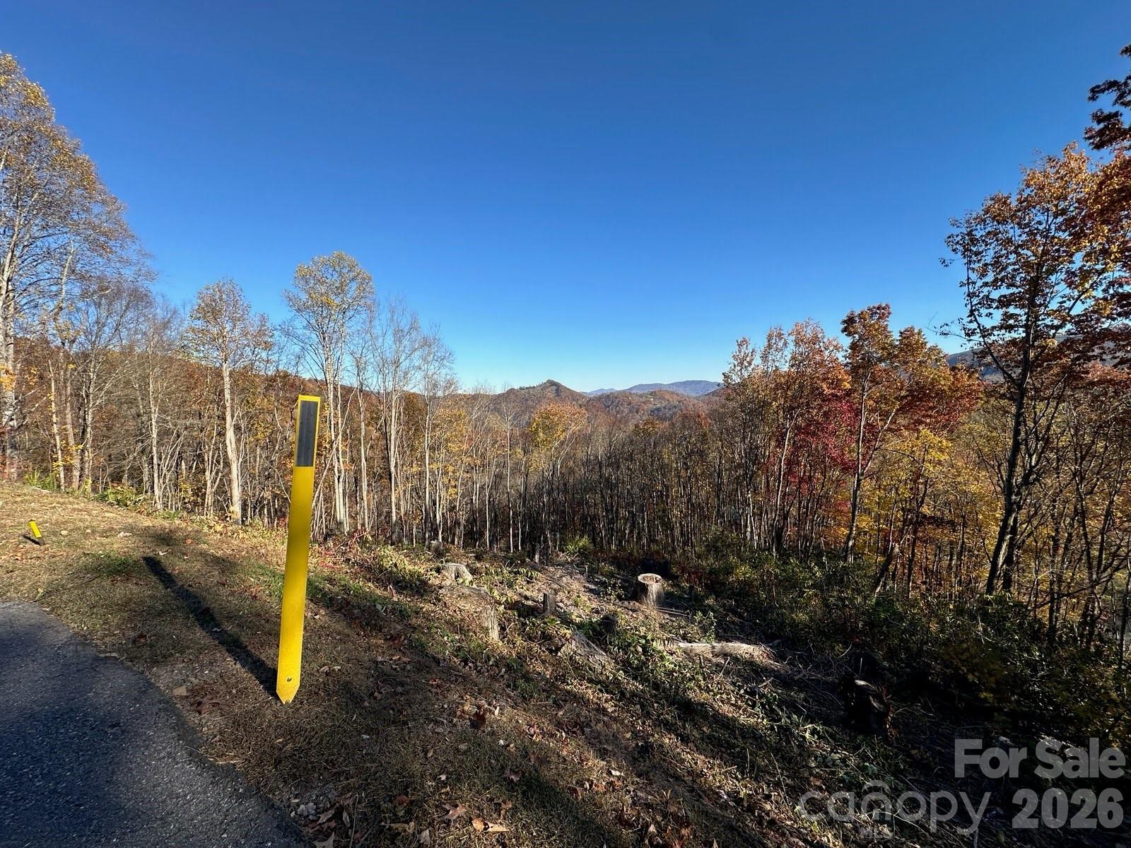 3 Mountain Watch Drive Waynesville NC 28785