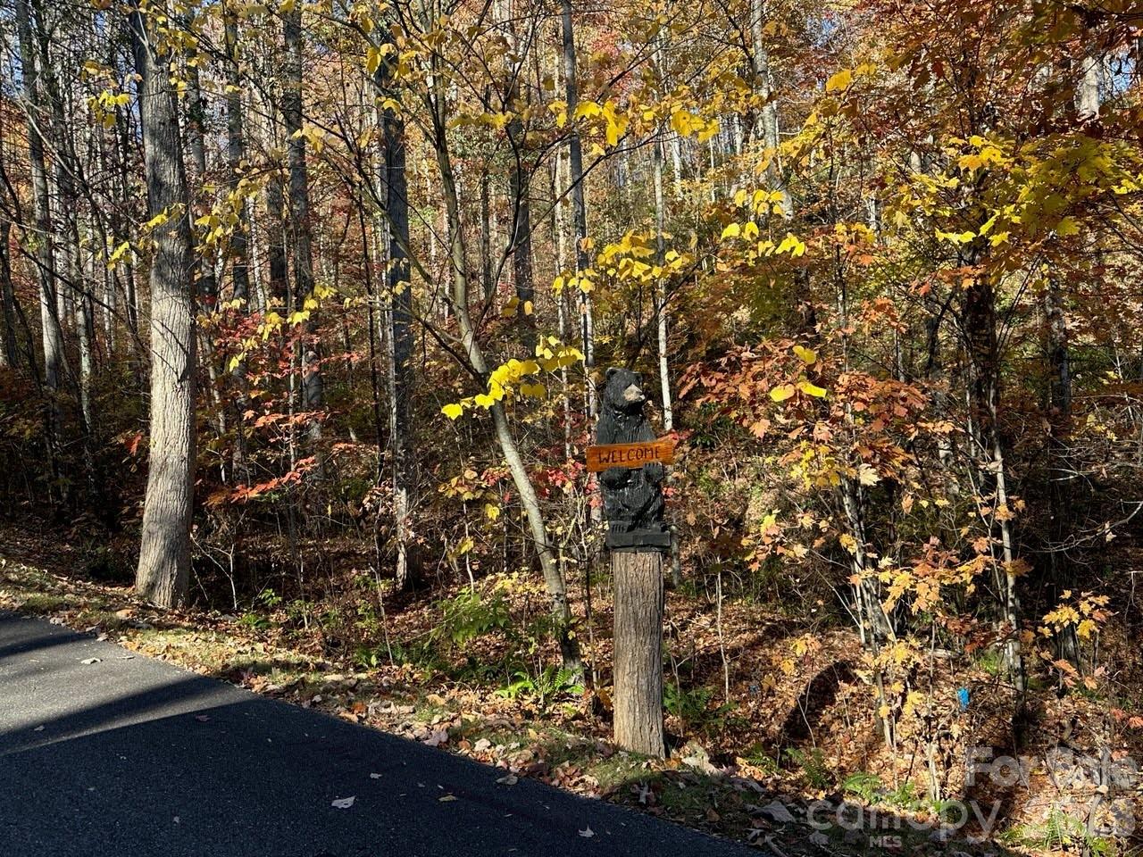 3 Mountain Watch Drive Waynesville NC 28785