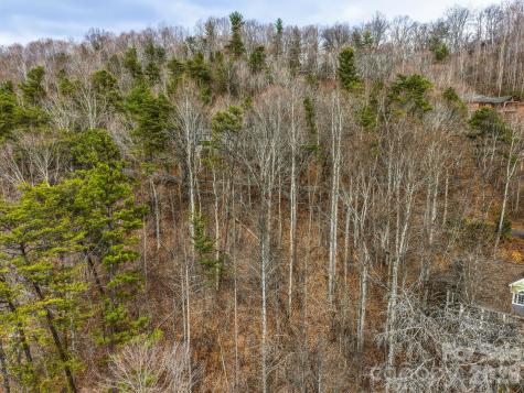 99999 Hawk View Drive Asheville NC 28804