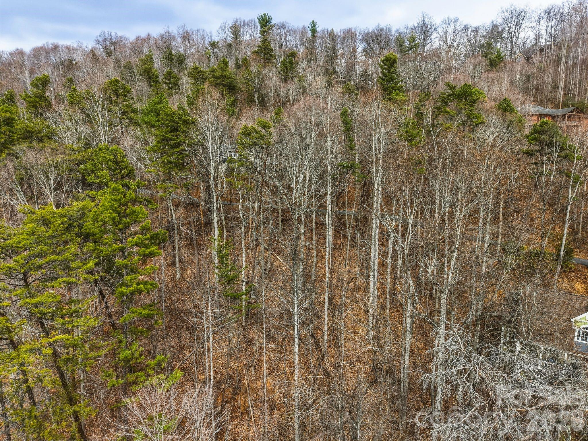 99999 Hawk View Drive Asheville NC 28804