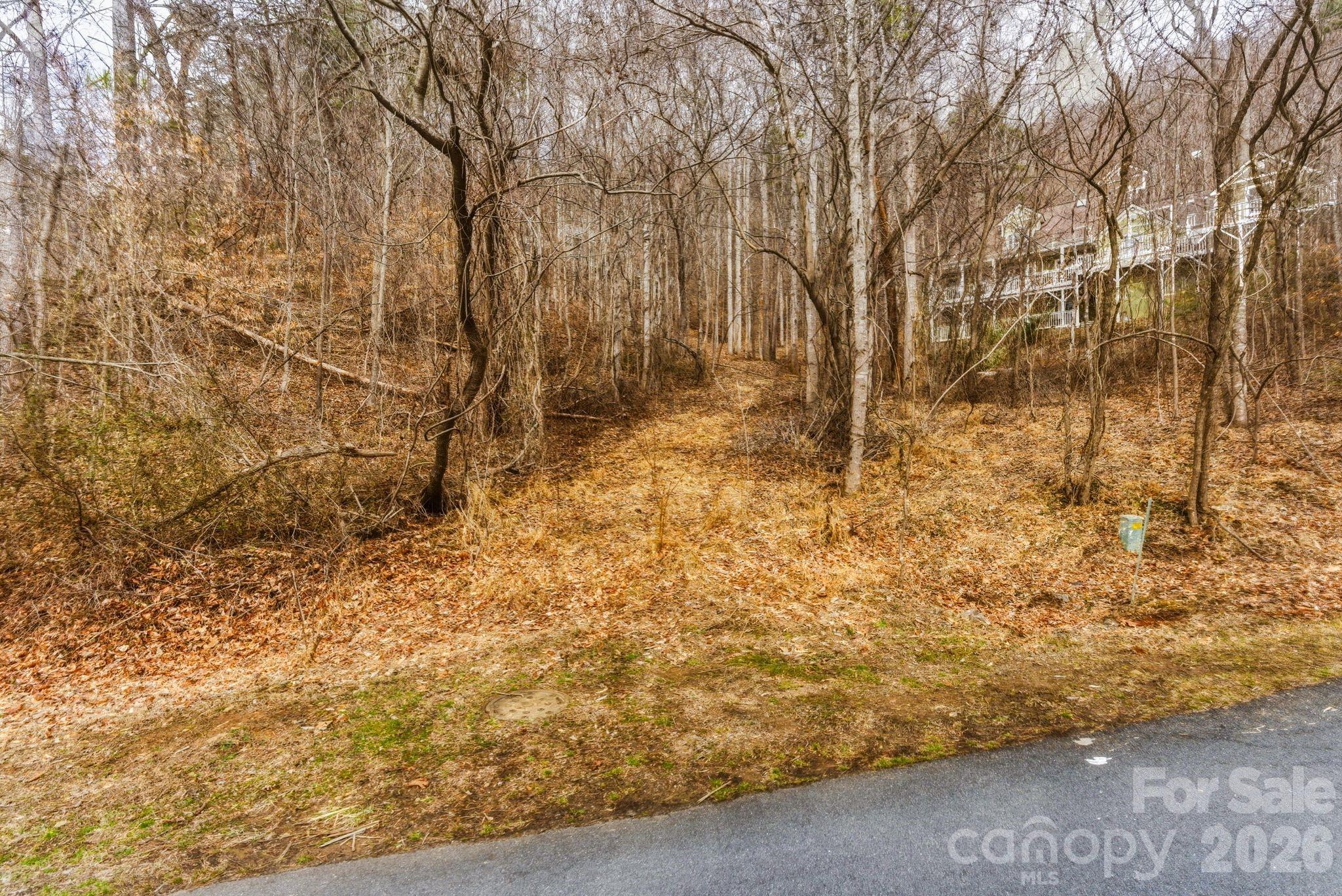 99999 Hawk View Drive Asheville NC 28804