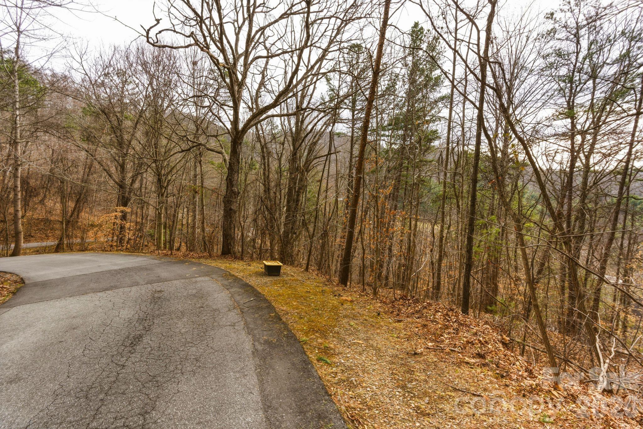 99999 Hawk View Drive Asheville NC 28804