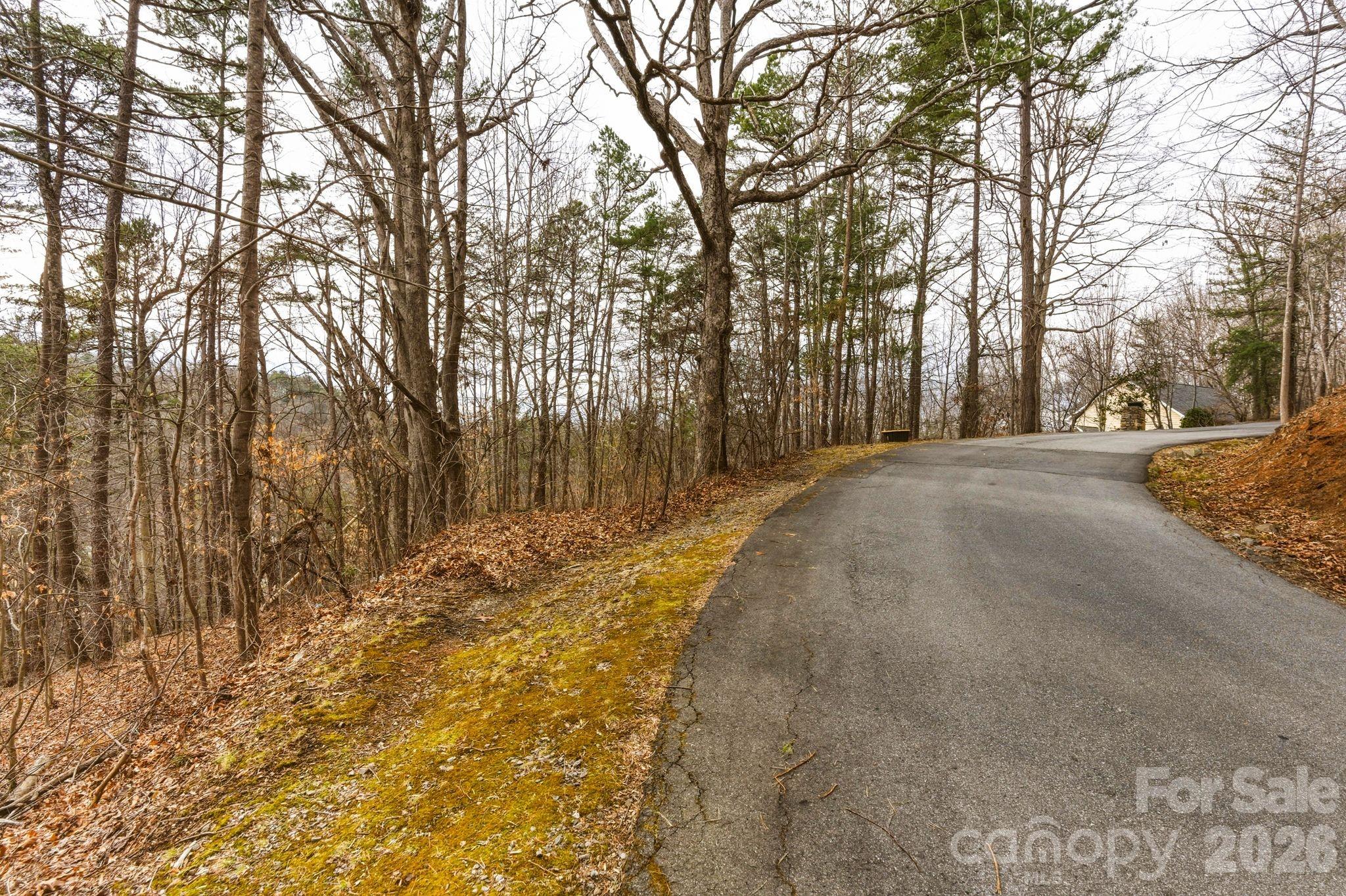 99999 Hawk View Drive Asheville NC 28804