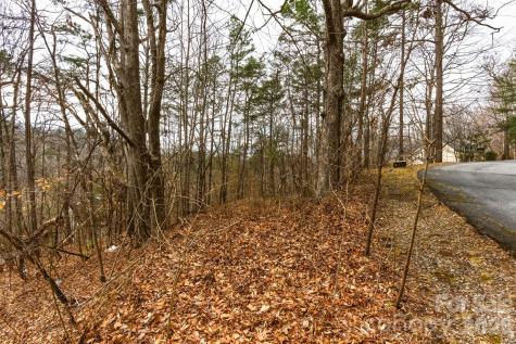 99999 Hawk View Drive Asheville NC 28804