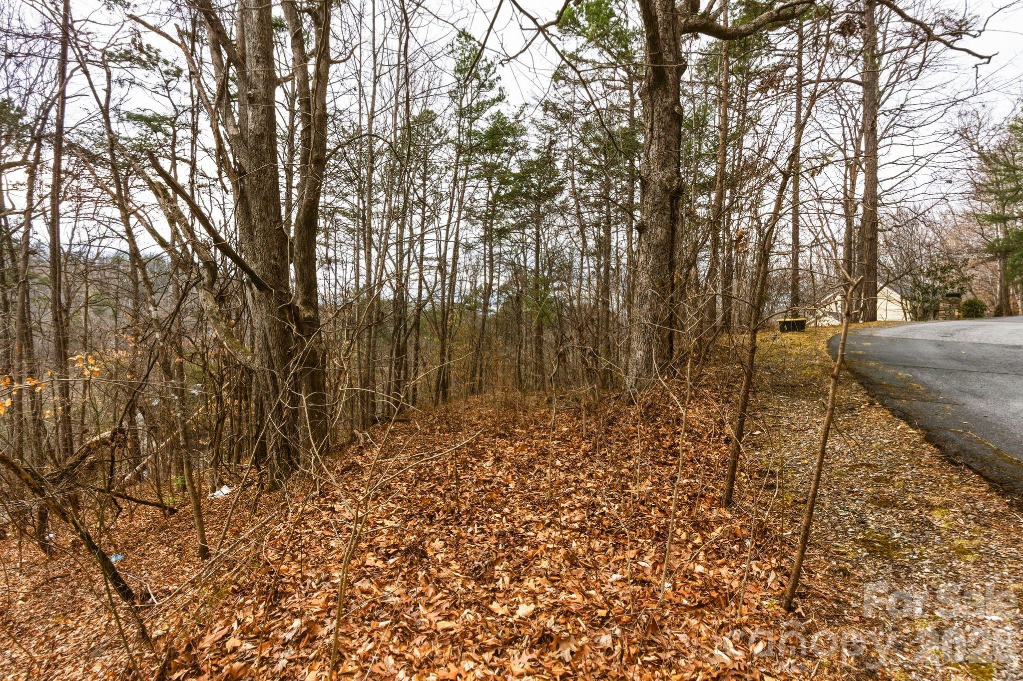 99999 Hawk View Drive Asheville NC 28804
