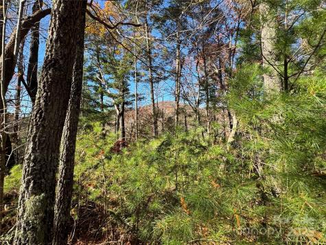 Site 5 Woodfen Lane Lake Lure NC 28746
