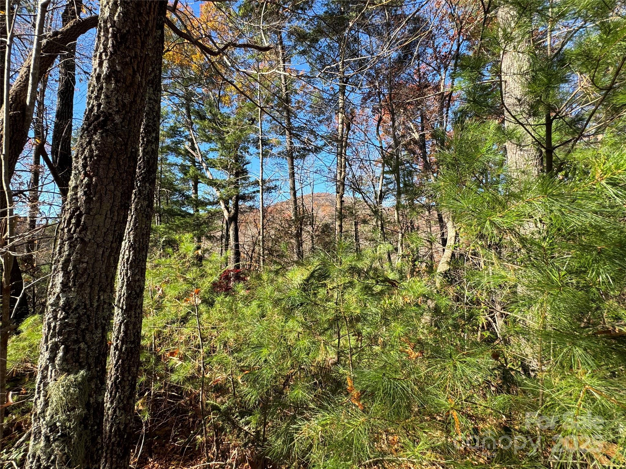 Site 5 Woodfen Lane Lake Lure NC 28746