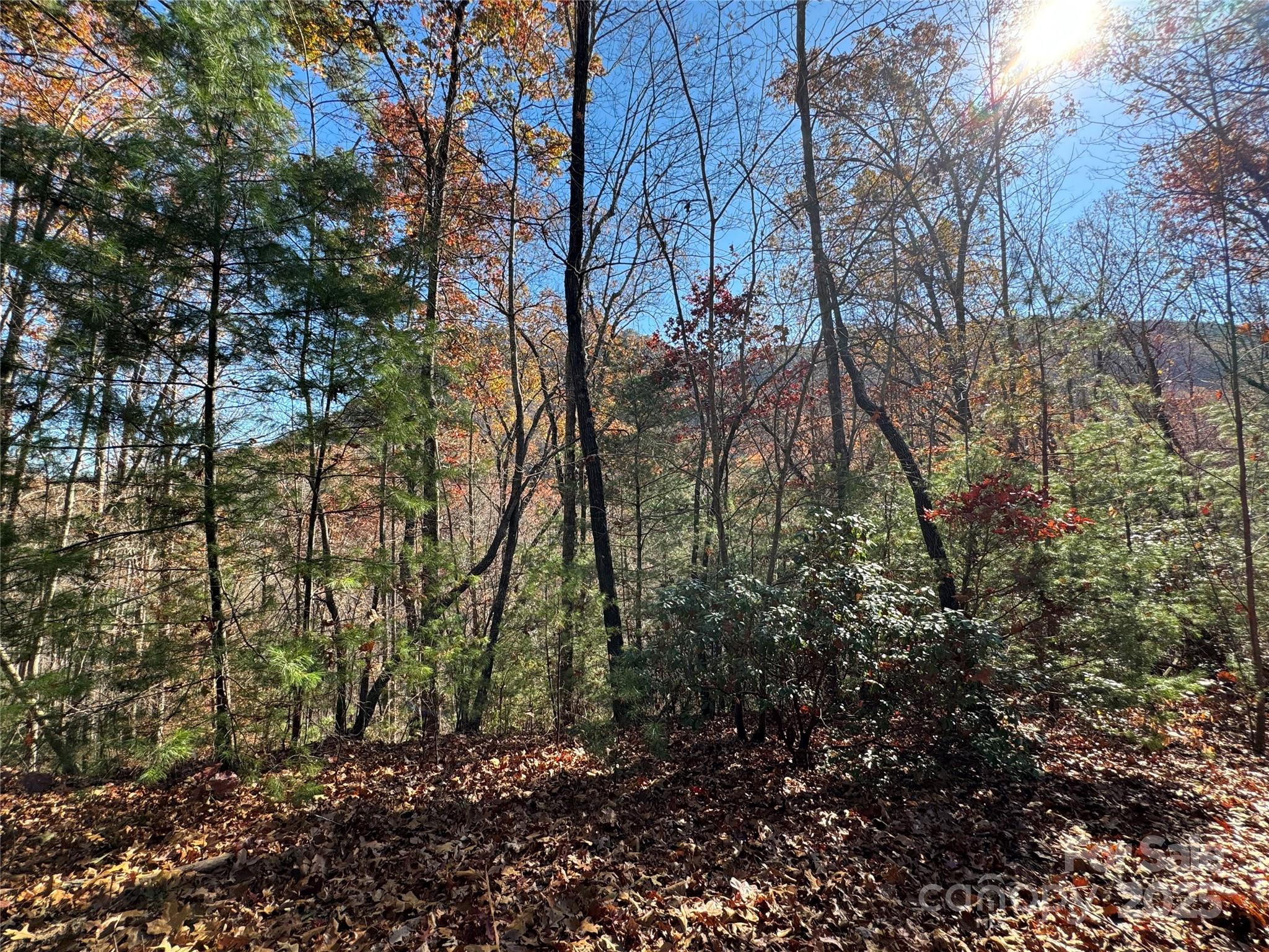 Site 5 Woodfen Lane Lake Lure NC 28746