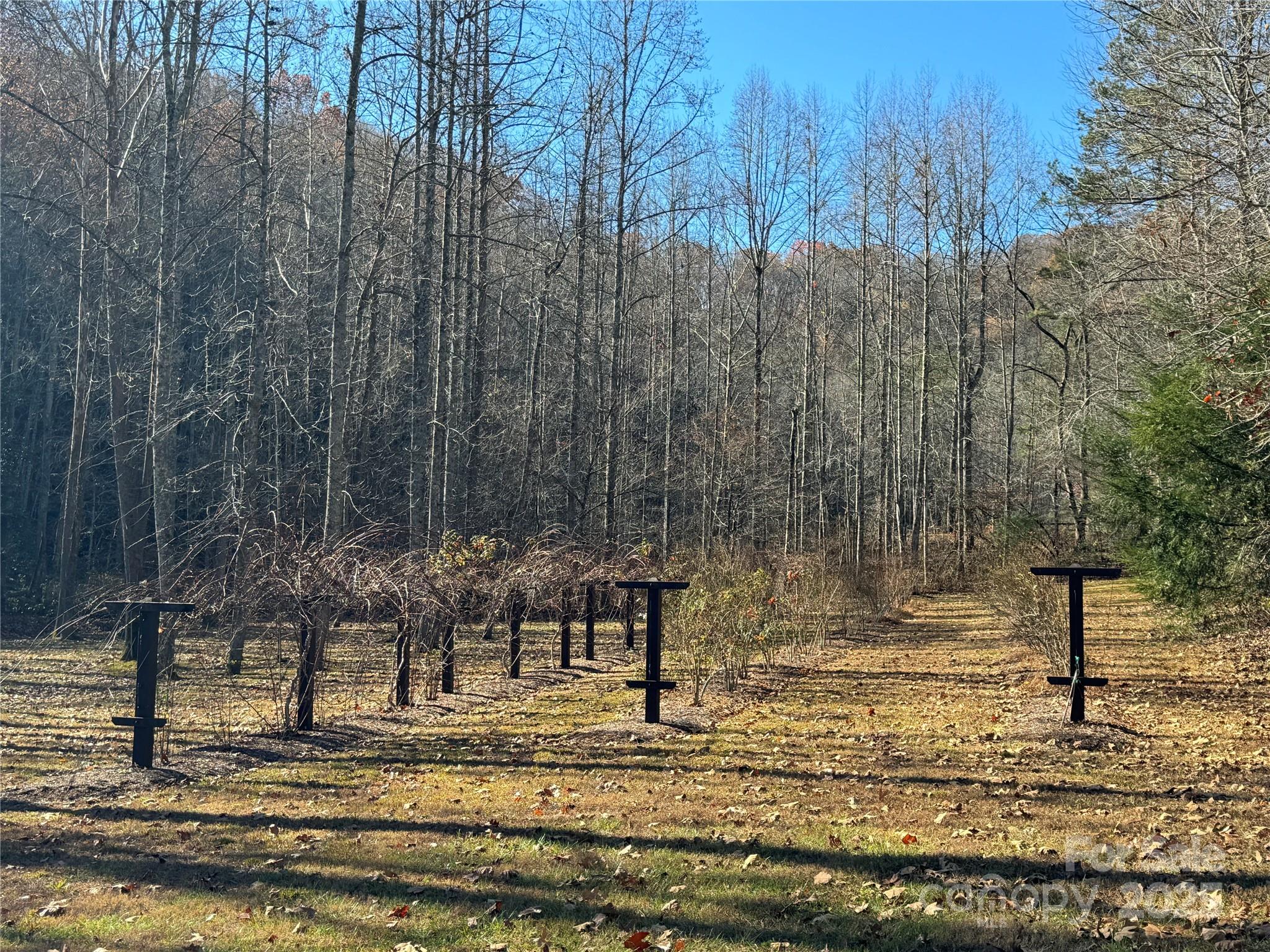 Site 5 Woodfen Lane Lake Lure NC 28746