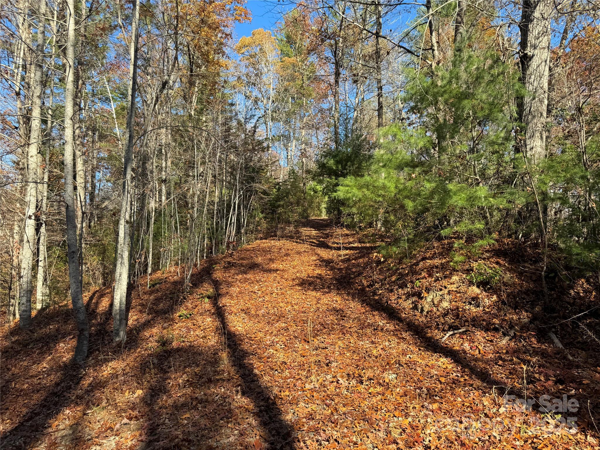 Site 5 Woodfen Lane Lake Lure NC 28746
