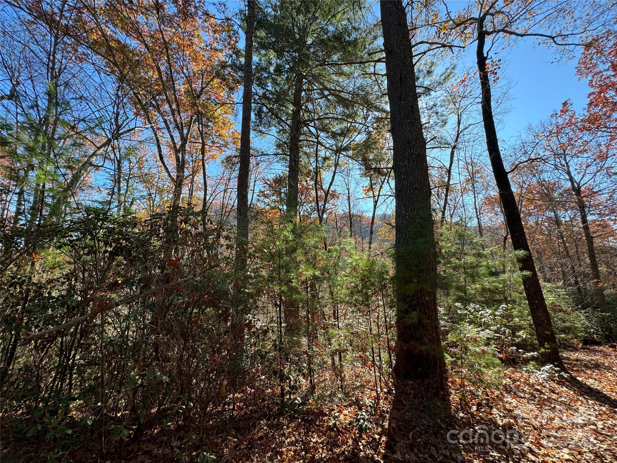 Site 5 Woodfen Lane Lake Lure NC 28746